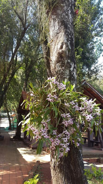 Del Sur Hotel-Museo Encarnación Esterno foto